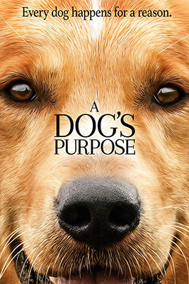 A Dogs Purpose Poster